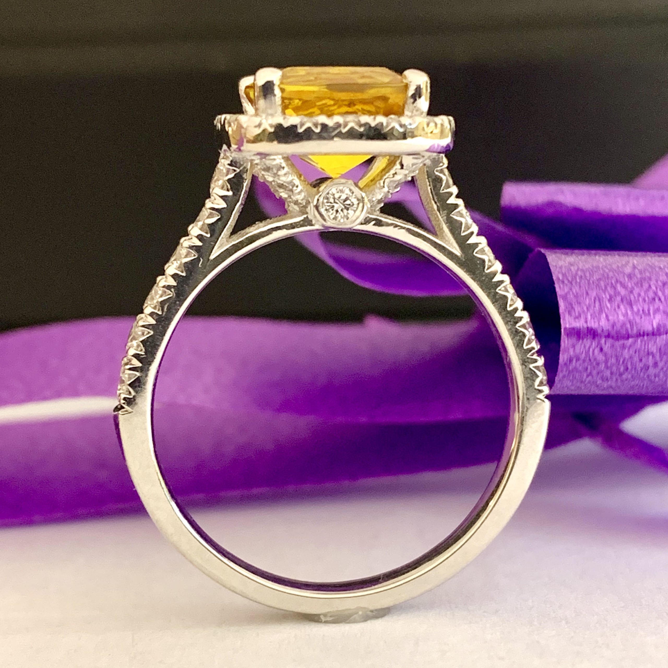 #28762 Ambrosia - Image 2